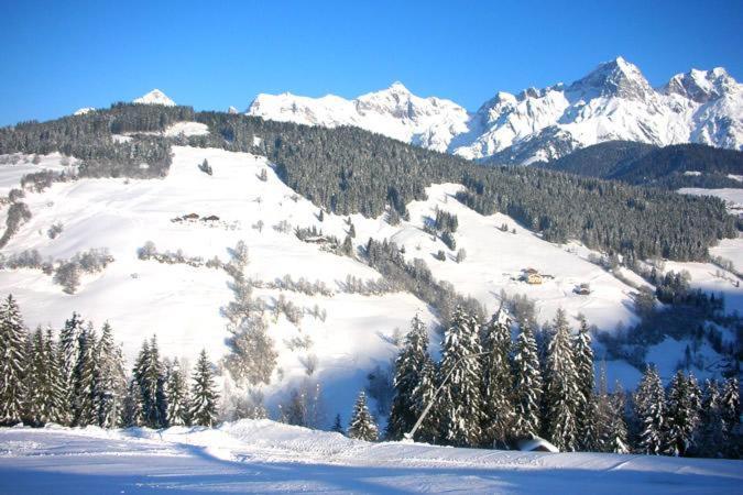 Ferienwohnung Klappacher Maria Alm Extérieur photo